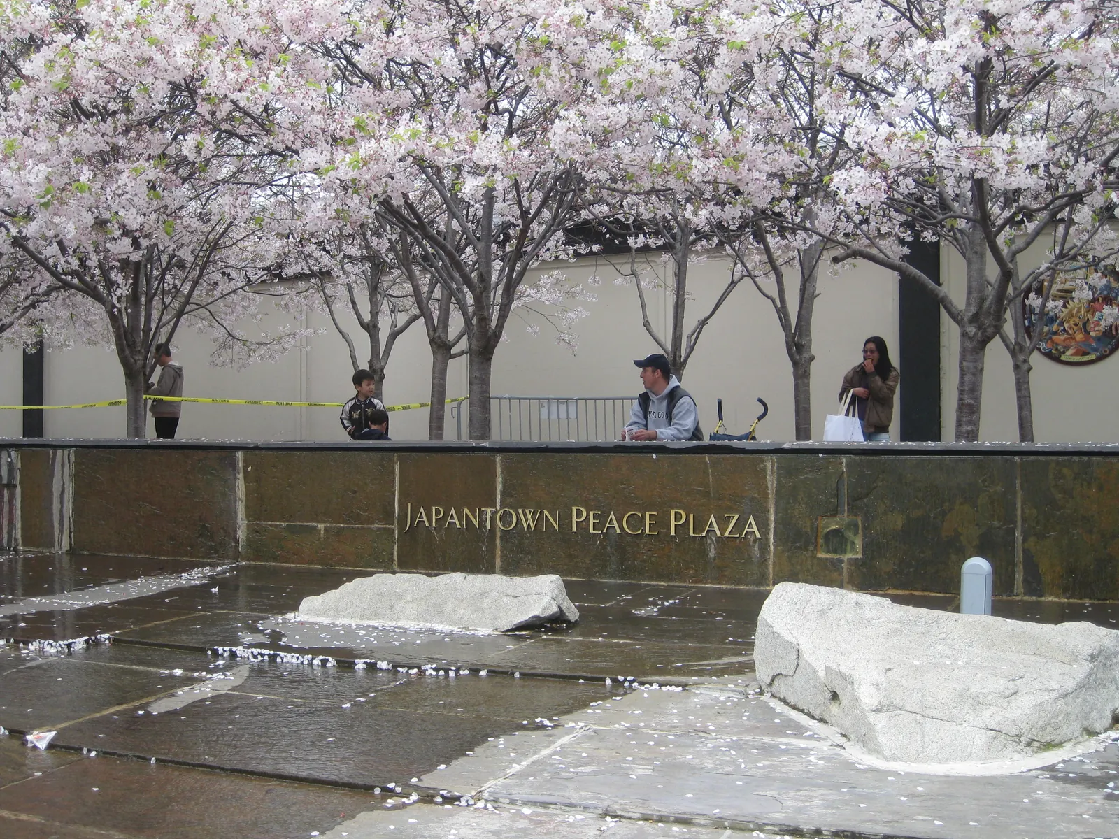 Cherry blossoms over a festival crowd in Japantown