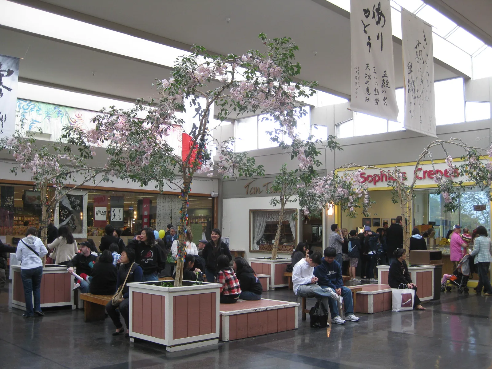 Cherry blossom trees inside the Japan Center mall in Japantown, San Francisco
